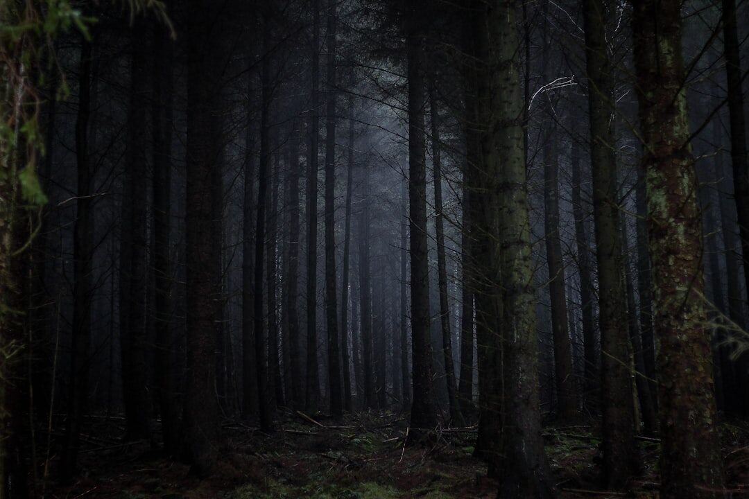 dark mystery night